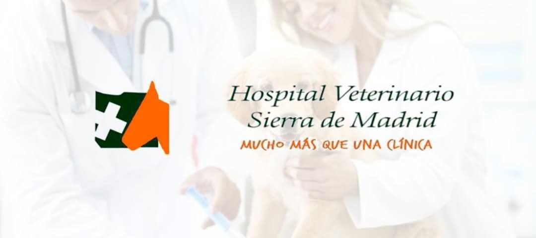 Hospital veterinario san agustin